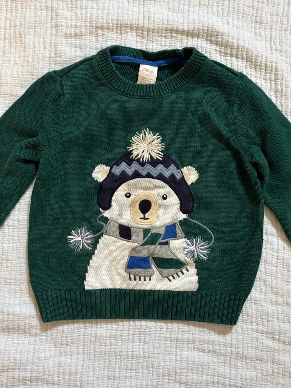 Gymboree Green Bear Crewneck Sweater